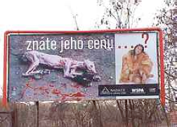 Znáte jeho cenu