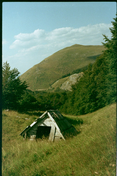Černá hora, 2013